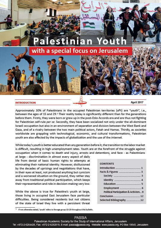 palestinian_youth-_english